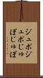 ジュポジュポ Scroll