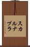 スカルナプラ Scroll