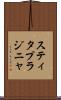 スティタプラジニャ Scroll