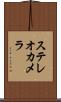 ステレオカメラ Scroll