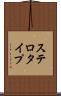 ステロタイプ Scroll