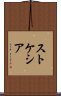 ストケシア Scroll