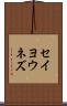 セイヨウネズ Scroll