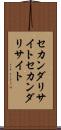 セカンダリサイト Scroll