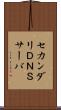 セカンダリＤＮＳサーバ Scroll