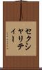 セクシャリティー Scroll
