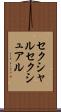 セクシャル Scroll