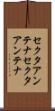セクタアンテナ Scroll