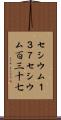 セシウム１３７ Scroll