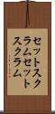 セットスクラム Scroll