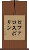 セファロスポリン Scroll