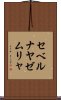 セベルナヤゼムリャ Scroll