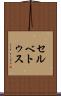 セルベトゥス Scroll