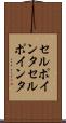 セルポインタ Scroll
