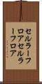 セルラーフロア Scroll