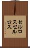 セルロス Scroll