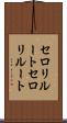 セロリルート Scroll