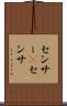 センサー(P) Scroll