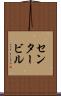 センタービル Scroll