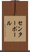 センターポール Scroll
