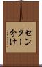 センター分け Scroll