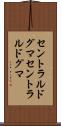 セントラルドグマ Scroll