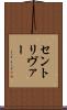 セントリヴァー Scroll