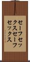 セーフセックス Scroll