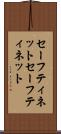 セーフティネット Scroll