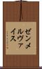ゼンメルヴァイス Scroll