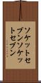 ソケットセブン Scroll