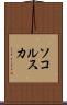 ソコルスカ Scroll