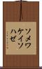ソメワケイソハゼ Scroll