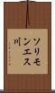 ソリモンエス川 Scroll