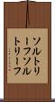 ソルトリーフ Scroll