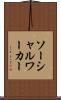 ソーシャル・ワーカー Scroll
