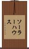 ソーラー・ハウス Scroll
