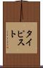 タイピスト Scroll