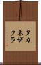 タカネザクラ Scroll