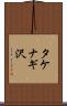 タケナギ沢 Scroll