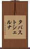 タバストシェルナ Scroll