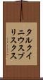 タルクイニウスプリスクス Scroll