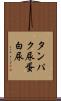 タンパク尿 Scroll