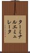 ターミナル・エミュレータ Scroll