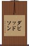 ダビッドソン Scroll