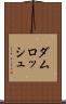 ダムロッシュ Scroll