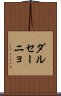 ダル・セーニョ Scroll