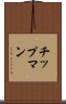 チップマン Scroll