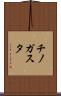チノガスタ Scroll