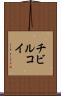 チビルコイ Scroll
